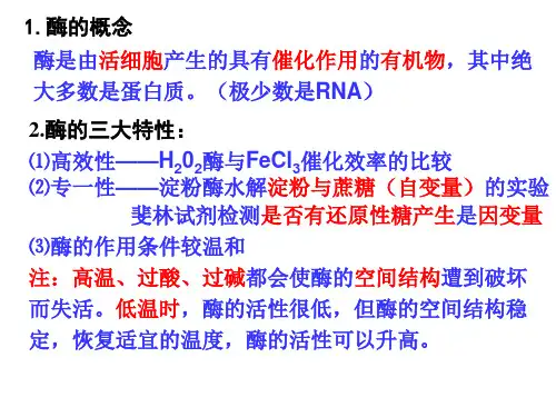 高中生物必修一第五章 细胞的能量供应和利用 复习课件
