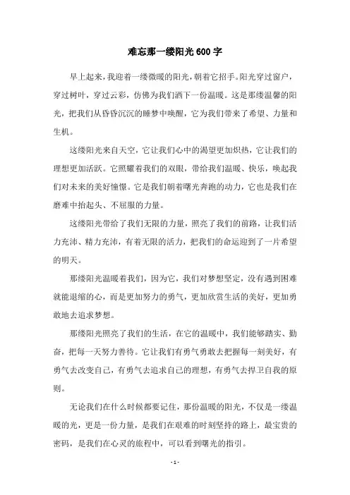 难忘那一缕阳光600字