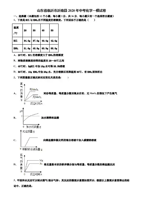 【附20套中考模拟试卷】山东省临沂市沂南县2020年中考化学一模试卷含解析