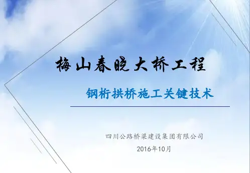 钢桁拱桥关键施工技术ppt课件