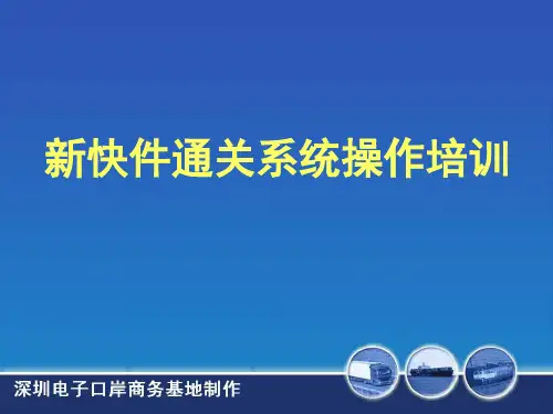 新快件通关系统操作培训