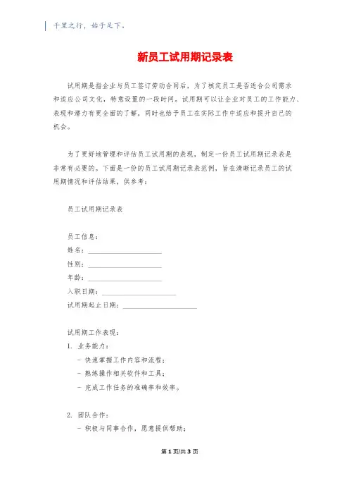 新员工试用期记录表