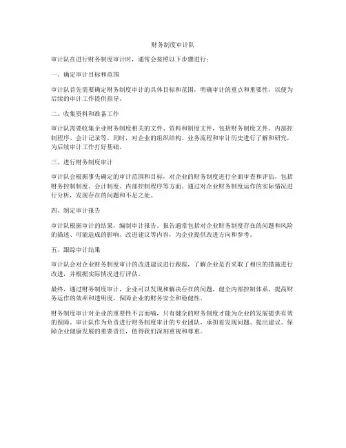 财务制度审计队