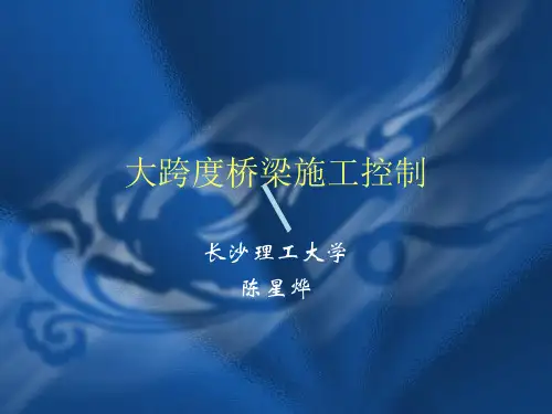 大跨度桥梁施工控制