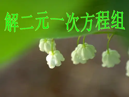 人教版七年级数学下册8.2消元----解二元一次方程组(共35张PPT)