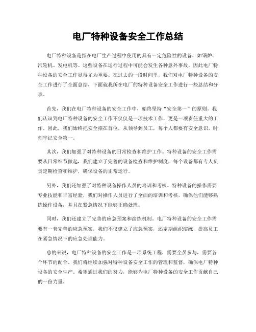 电厂特种设备安全工作总结