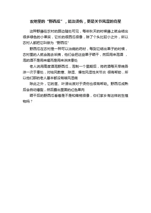 农地里的“野西瓜”，能治烫伤，更是关节风湿的克星