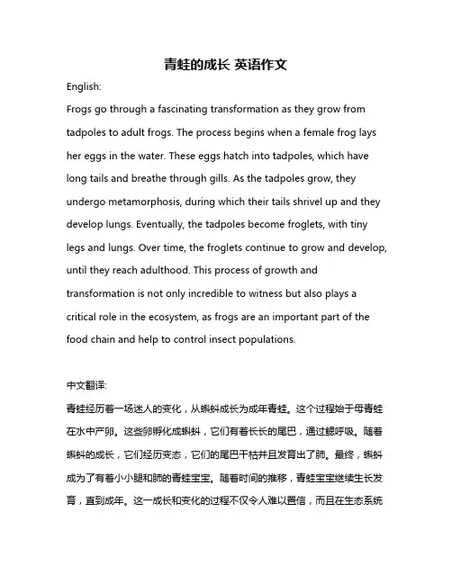 青蛙的成长 英语作文