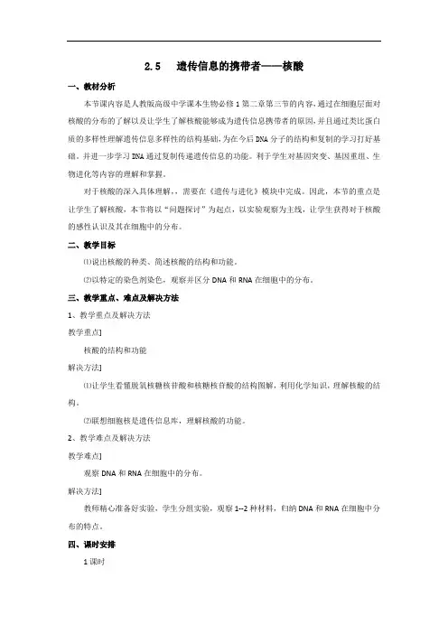 高中生物人教版(2019)必修一教案2.5 核酸遗传信息的携带者