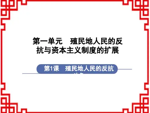 人教版9年级历史下册课件 第1单元殖民地人民的反抗与资本主义制度的扩展 第1课 殖民地人民的反抗斗争