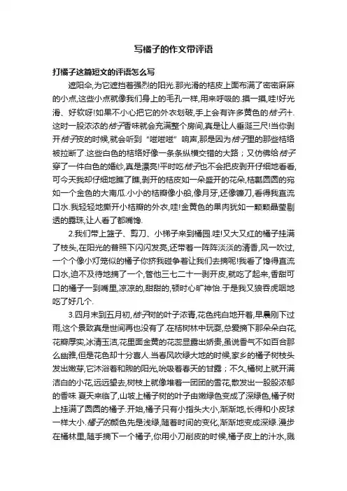 写橘子的作文带评语