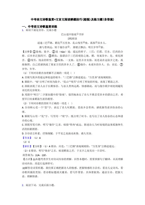 中考语文诗歌鉴赏+文言文阅读解题技巧(超强)及练习题(含答案)
