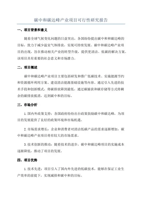 碳中和碳达峰产业项目可行性研究报告