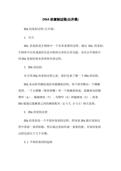 DNA的复制过程(公开课)