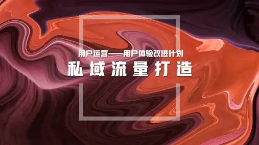 私域流量打造方案样例ppt