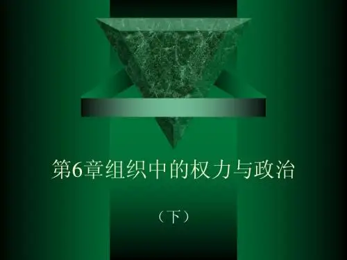 第6章组织中的权力与政治(下)
