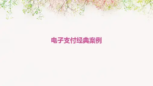 电子支付经典案例