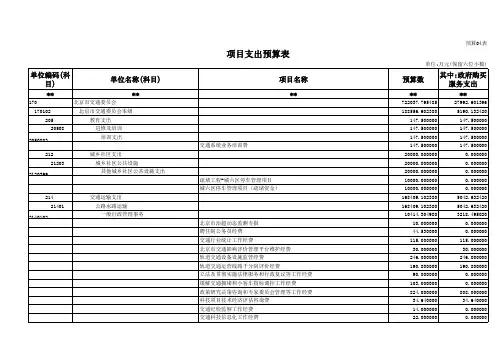预算04表项目支出预算表