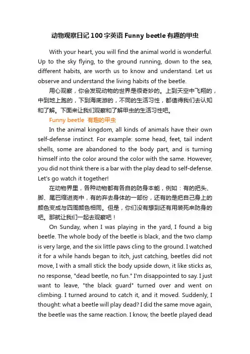 动物观察日记100字英语Funnybeetle有趣的甲虫