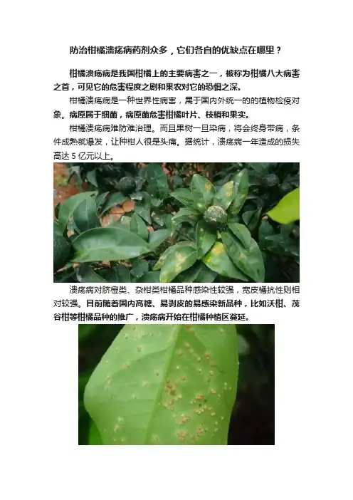 防治柑橘溃疡病药剂众多，它们各自的优缺点在哪里？
