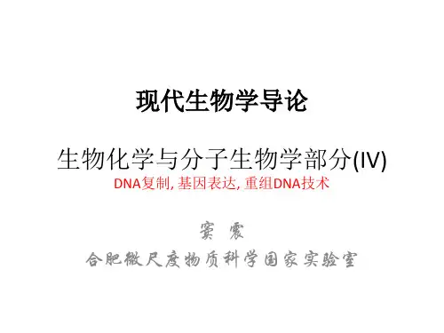 4.现代生物学导论 Lecture 04