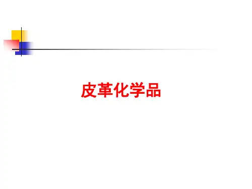 第7章 皮革化学品