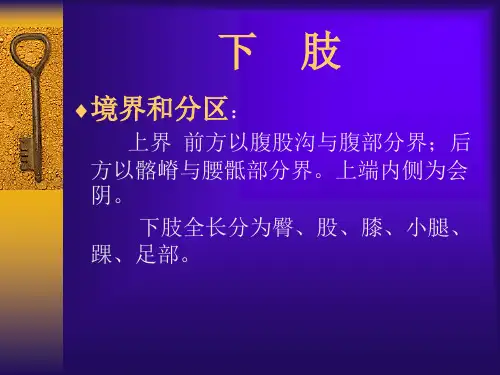 股前内侧区