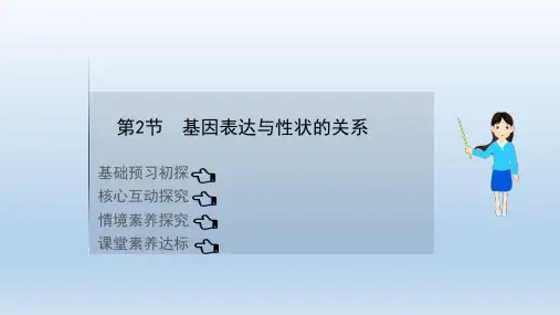 新人教版必修2基因表达与性状的关系(30张)课件