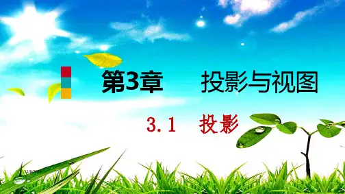 九年级数学下册 第3章 投影与视图 3.1 投影导学课件下册数学课件