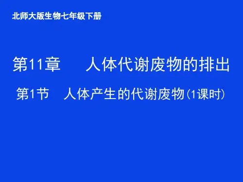 北师大版生物七下年级下册11.1《人体产生的代谢物》 课件(共26张PPT)