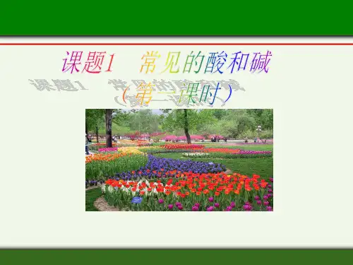 人教版初中化学九年级下册10.1 常见的酸和碱-酸碱指示剂 课件