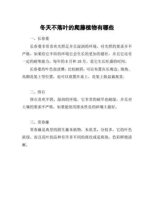 冬天不落叶的爬藤植物有哪些