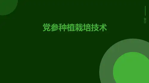 党参种植栽培技术
