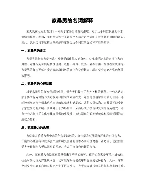 家暴男的名词解释