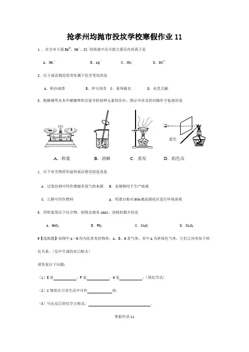 投坟学校高一化学寒假作业11 (2)