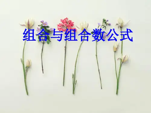 组合与组合数公式PPT教学课件