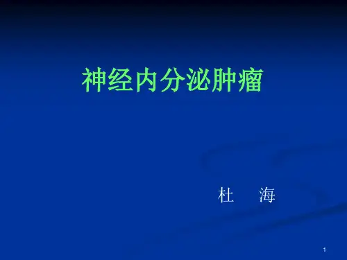 神经内分泌肿瘤CT