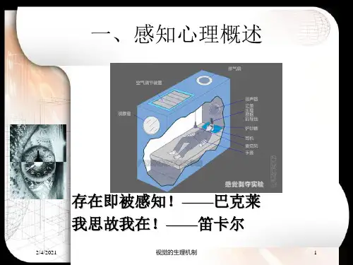 视觉的生理机制培训课件