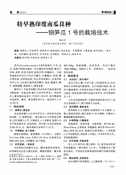 特早熟印度南瓜良种——铜笋瓜1号的栽培技术