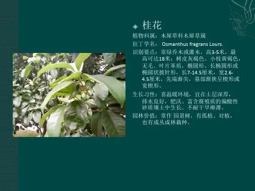 南京林业大学校园植物整理(107种)