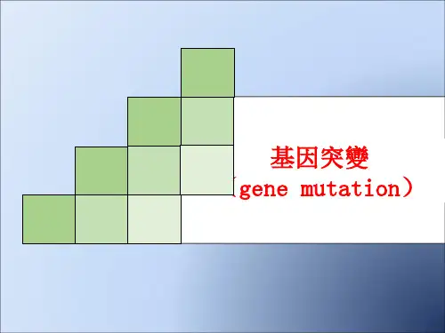 医学遗传学课件：基因突变
