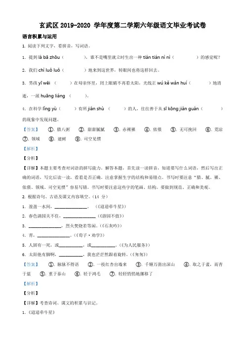 2019-2020学年江苏省南京市玄武区部编版六年级下册期末考试语文试卷(解析版)