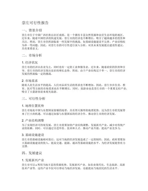 崇左可行性报告