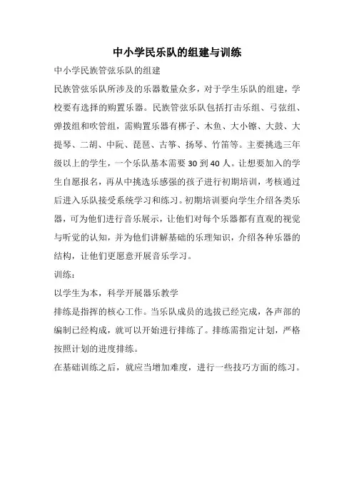 中小学民乐队的组建与训练