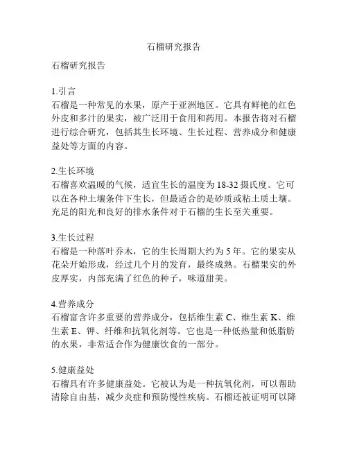 石榴研究报告