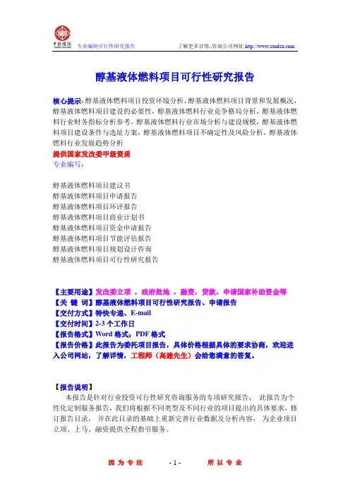 醇基液体燃料项目可行性研究报告