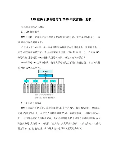 LWN锂离子聚合物电池2015年度营销计划书