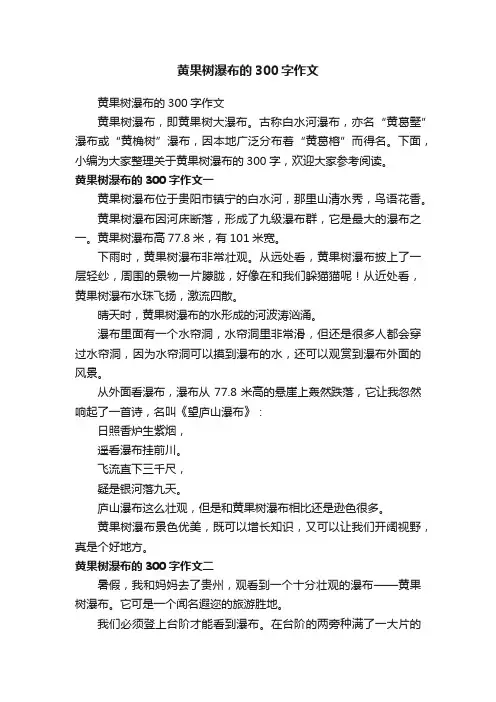 黄果树瀑布的300字作文