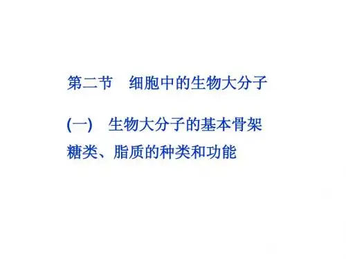 高中生物第二章  第二节(一)