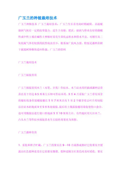 广玉兰的种植栽培技术